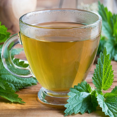 Nettle-tea